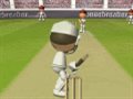 Flash Cricket-Spiel 2 Spiel